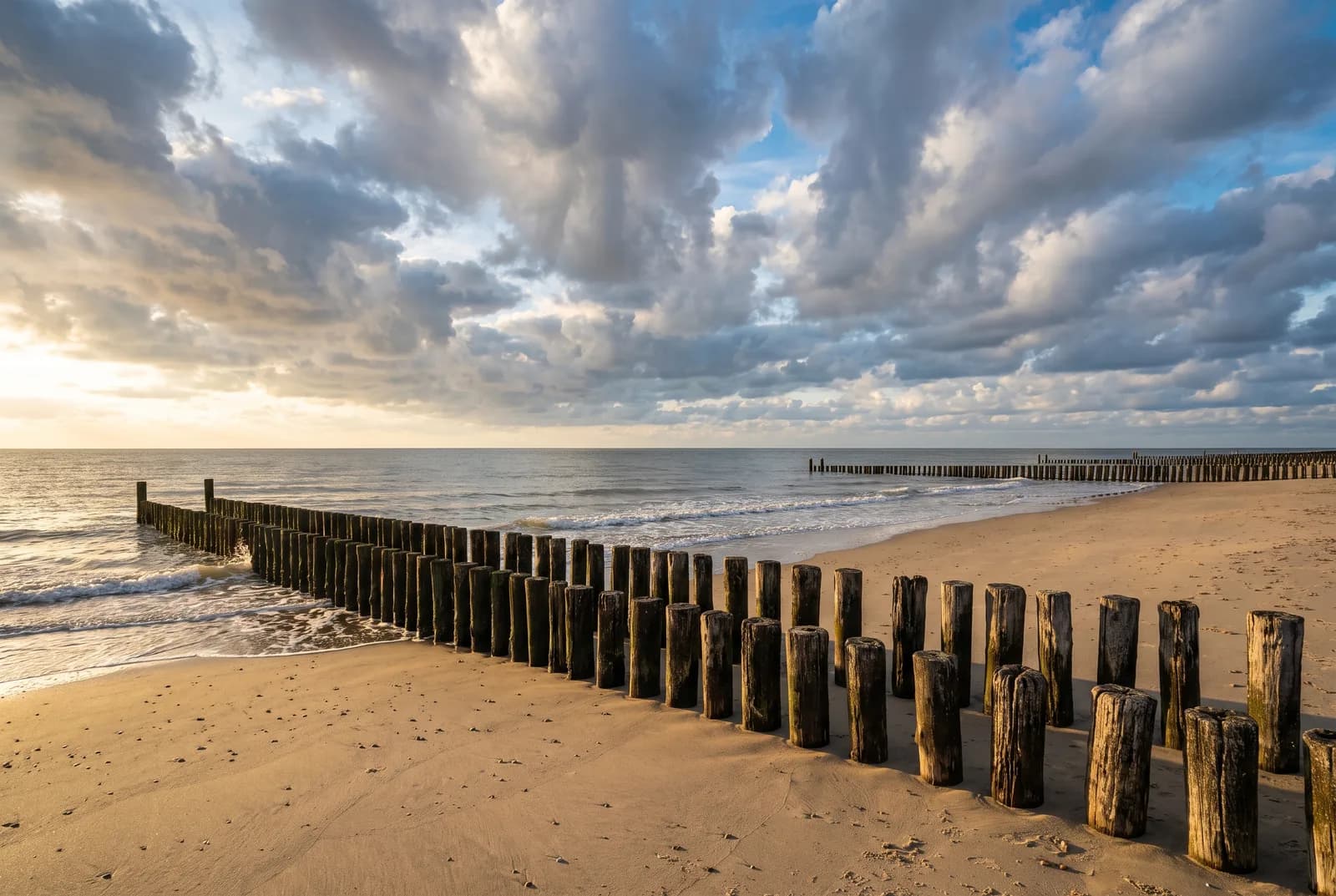 Paalhoofden op het Zeeuwse strand bij avondlicht