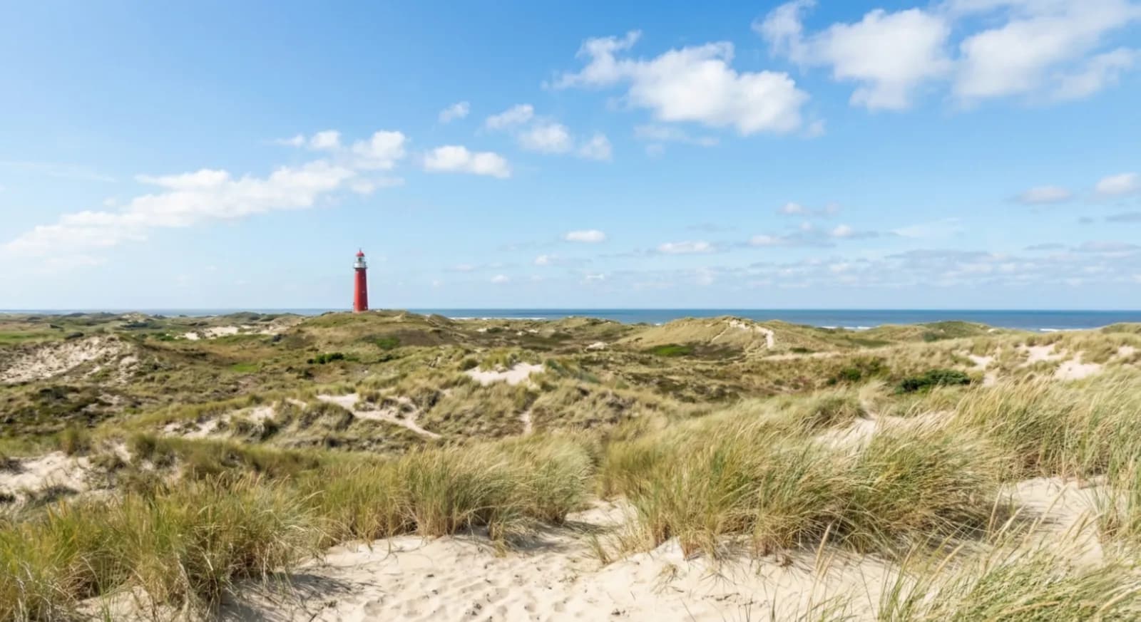 Zeeuwse kust met duinen en een vuurtoren aan zee